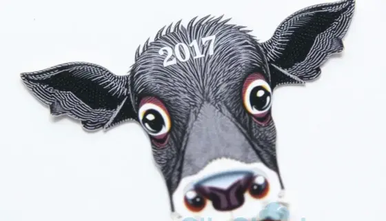 Ebösszeírás 2017
