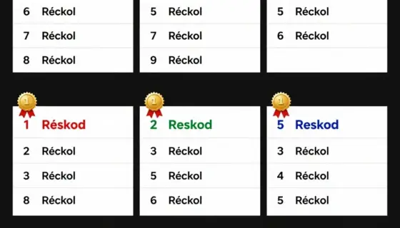 A detailed infographic or chart showing the results of Pálinkamustra competition in Miskolc, featuring statistics, rankings, and possibly medal placements for various participants
