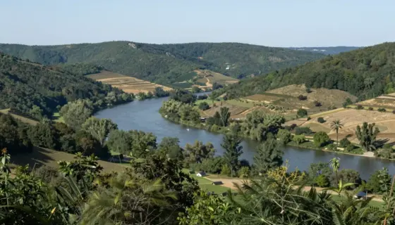 A scenic landscape of the Miskolc Járás region showcasing its designated nature areas, featuring rolling hills, dense forests, a winding river, and diverse wildlife in a natural setting