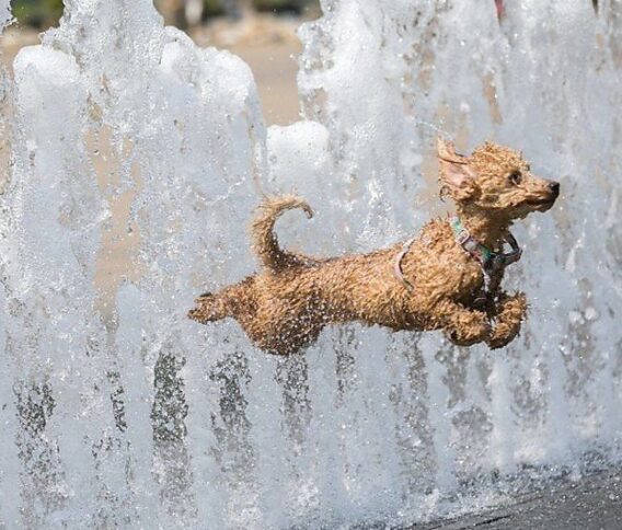 Tájékoztatás a 2026. januári rezsistop alkalmazásáról