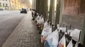 Ezeket együk és tegyük a jobb vesefunkció érdekében