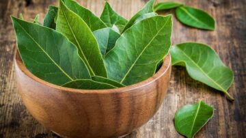 Tegyél egy babérlevelet a szőnyeg alá, és másnap reggelre minden megváltozik