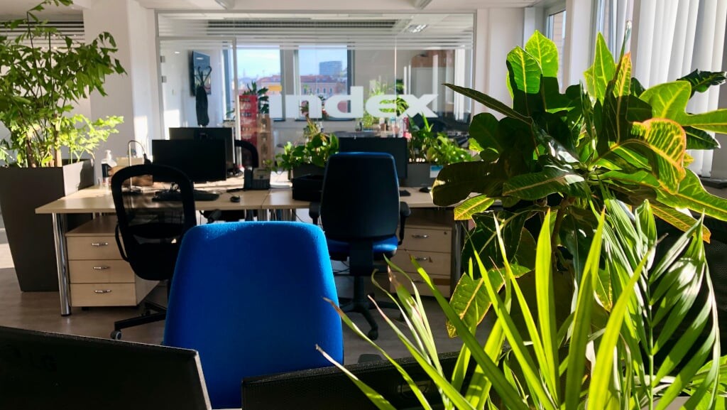 Tisza Párt vs Index: Fellebbez a lap, miután a bíróság Magyar Péteréknek adott igazat a megismételt elsőfokú eljárásban