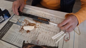 Kék cinegék rákaptak a csikkgyűjtésre, mert rájöttek, hogy segít rajtuk