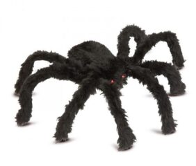 Tudtad? Ezt jelenti, ha pók költözik az otthonodba