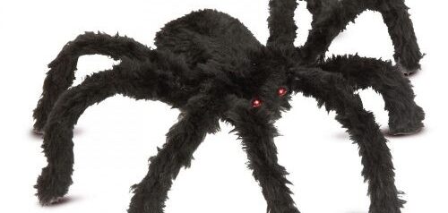 Tudtad? Ezt jelenti, ha pók költözik az otthonodba