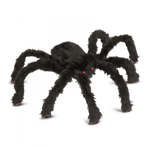 Tudtad? Ezt jelenti, ha pók költözik az otthonodba