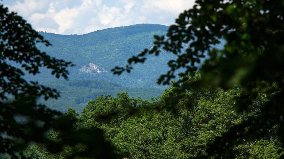 Több ezer éves titkok Felsőtárkány fölött: nincs magyarázat a hegy rejtélyére, a szakemberek is vakarják a fejüket