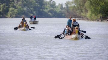 Nemzetközi vizekre evez a Tokaj-Hegyalja Egyetem – külföldi csapatokat is várnak a Bodrogra