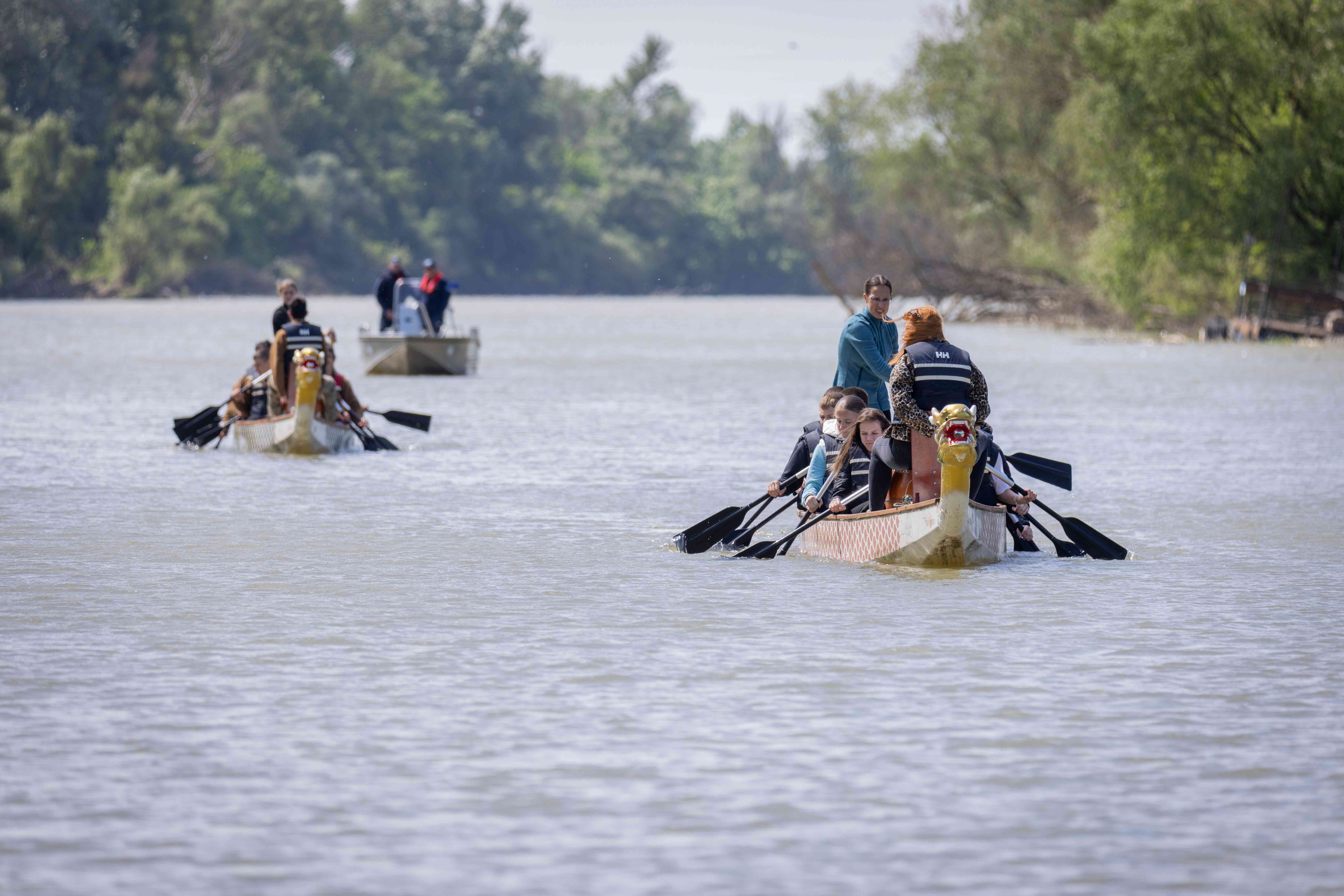 Nemzetközi vizekre evez a Tokaj-Hegyalja Egyetem – külföldi csapatokat is várnak a Bodrogra