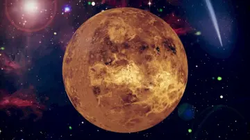 Ha van is élet a Vénuszon, az szinte biztosan a Földről érkezett