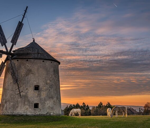 A szélerőművek sötét titka, amiről eddig senki sem beszélt