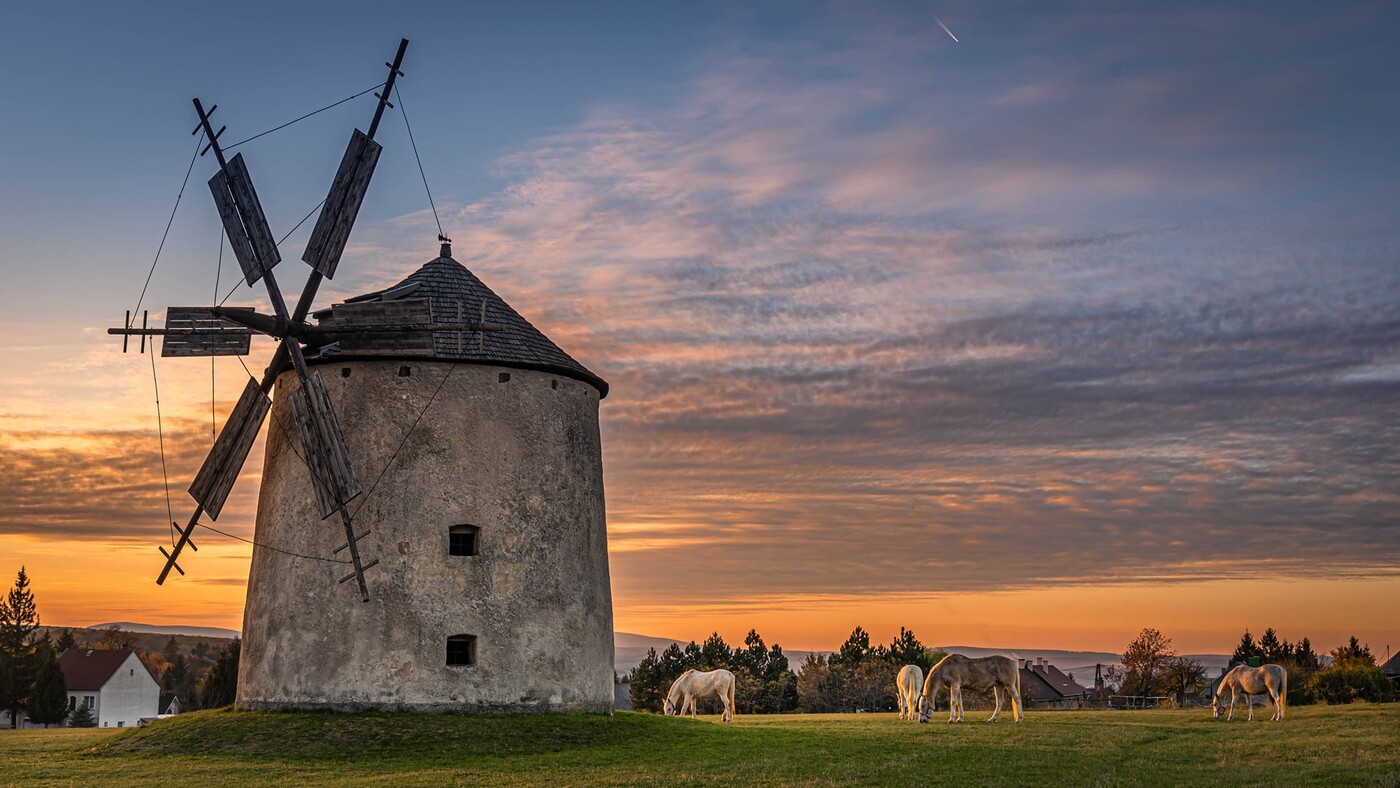 A szélerőművek sötét titka, amiről eddig senki sem beszélt
