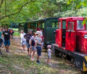 Több ezer éves titkok Felsőtárkány fölött: nincs magyarázat a hegy rejtélyére, a szakemberek is vakarják a fejüket
