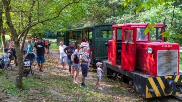 Több ezer éves titkok Felsőtárkány fölött: nincs magyarázat a hegy rejtélyére, a szakemberek is vakarják a fejüket