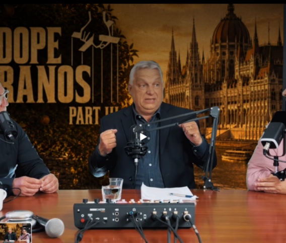 Orbán: az Index és a TV2 minket támogatott, a Vadhajtások a napi kedvencem