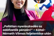 Az Auchanban készülnek a következő választásra – lassan telítődik a piac -jók vagyunk nyuszimotor gyártásban
