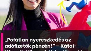 Az Auchanban készülnek a következő választásra – lassan telítődik a piac -jók vagyunk nyuszimotor gyártásban
