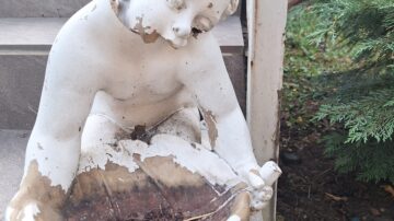 Ma is kisírtam magam a bíróságon – egy órát kaptan tizenöt perc járt volna – az elnökasszony szobájában sincs klima