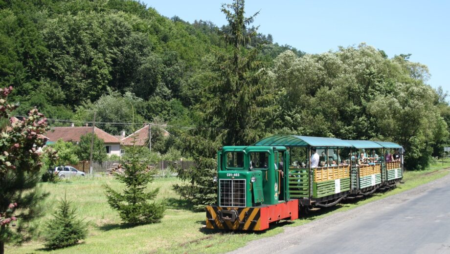 kisvas26