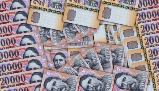 a media1 kérdése után öt nappal eltörli a kormány az 5000 forintos kamarai hozzájárulást