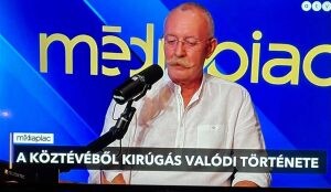 gulyás istván26