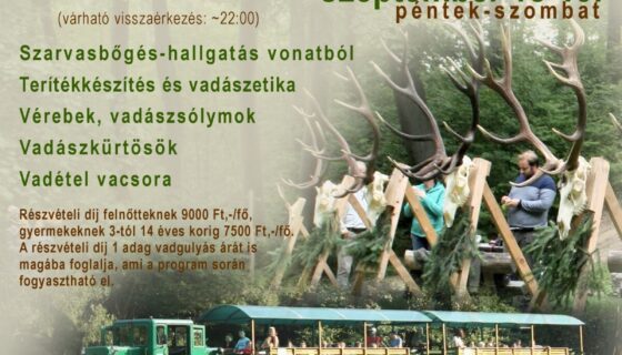 szarvasboges 260918 19p plakat1