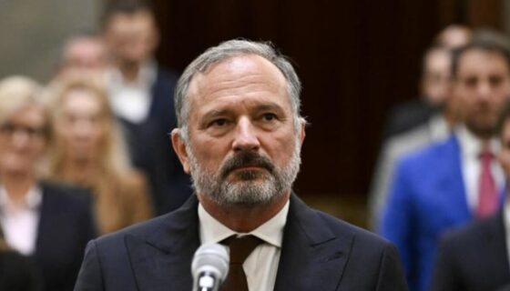 megválasztották a kdnp jelöltjét a médiatanácsba